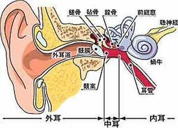 檢查1.jpg